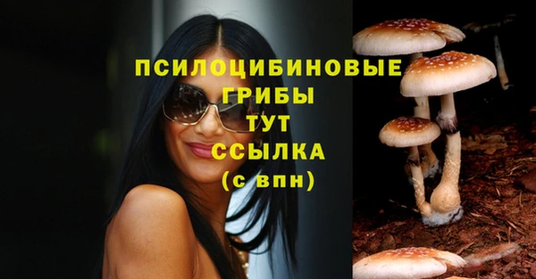синтетический гашиш Гусев