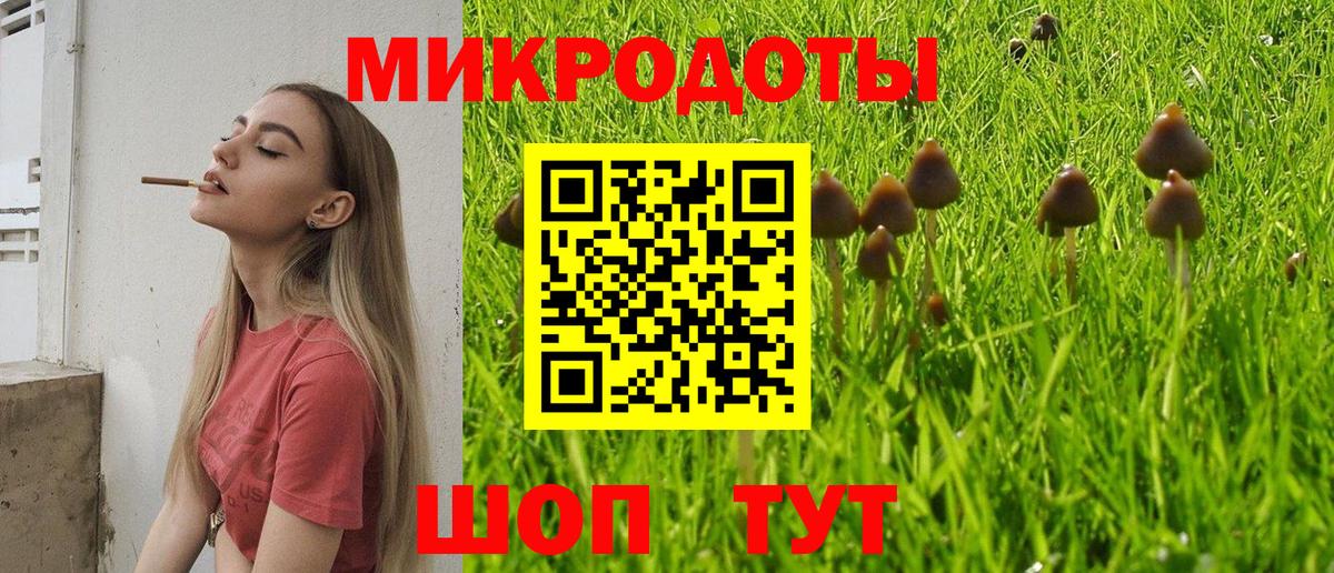 Псилоцибиновые грибы Magic Shrooms  как найти закладки  Псилоцибиновые грибы Psilocybine cubensis  Кизляр  Вход с VPN 
